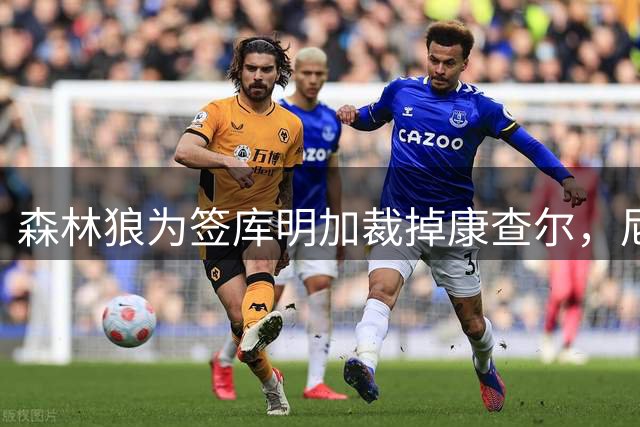 森林狼为签库明加裁掉康查尔，尼克斯或成其下家